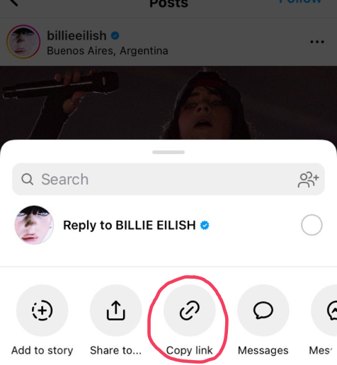 Copia la URL